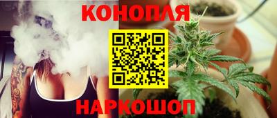 гашик Донской