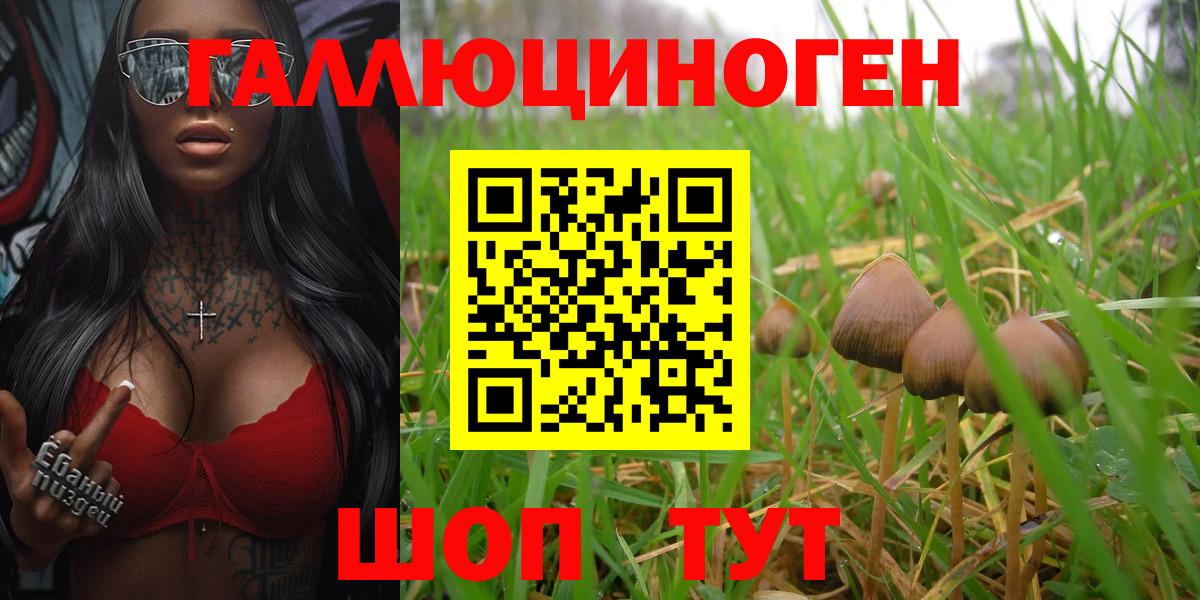Галлюциногенные грибы мицелий Будённовск
