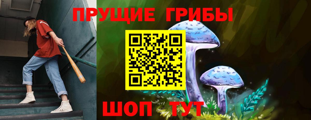 Псилоцибиновые грибы Psilocybe  Вход с VPN  Галлюциногенные грибы GOLDEN TEACHER  Будённовск 